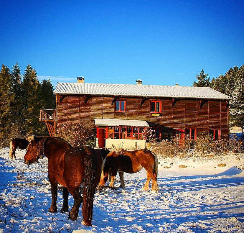 Gite Ranch Le Serpolet Лез-Англь Экстерьер фото