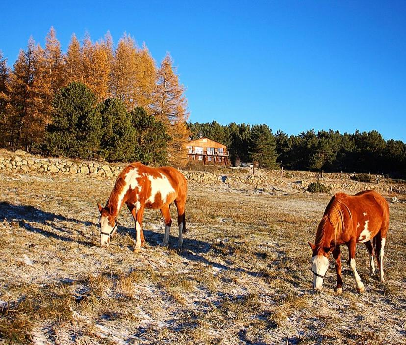 Gite Ranch Le Serpolet Лез-Англь Экстерьер фото