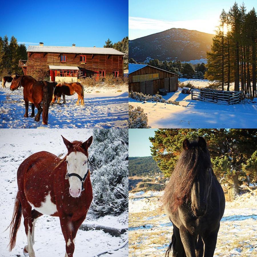 Gite Ranch Le Serpolet Лез-Англь Экстерьер фото