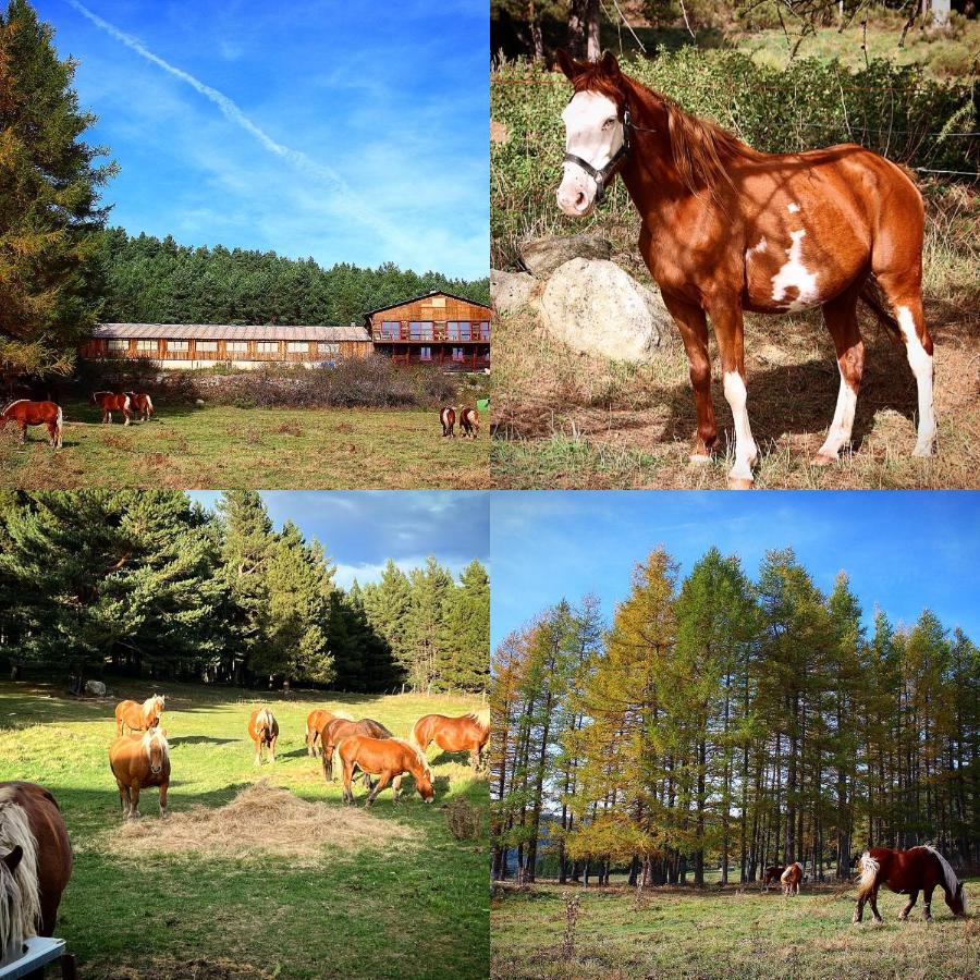 Gite Ranch Le Serpolet Лез-Англь Экстерьер фото