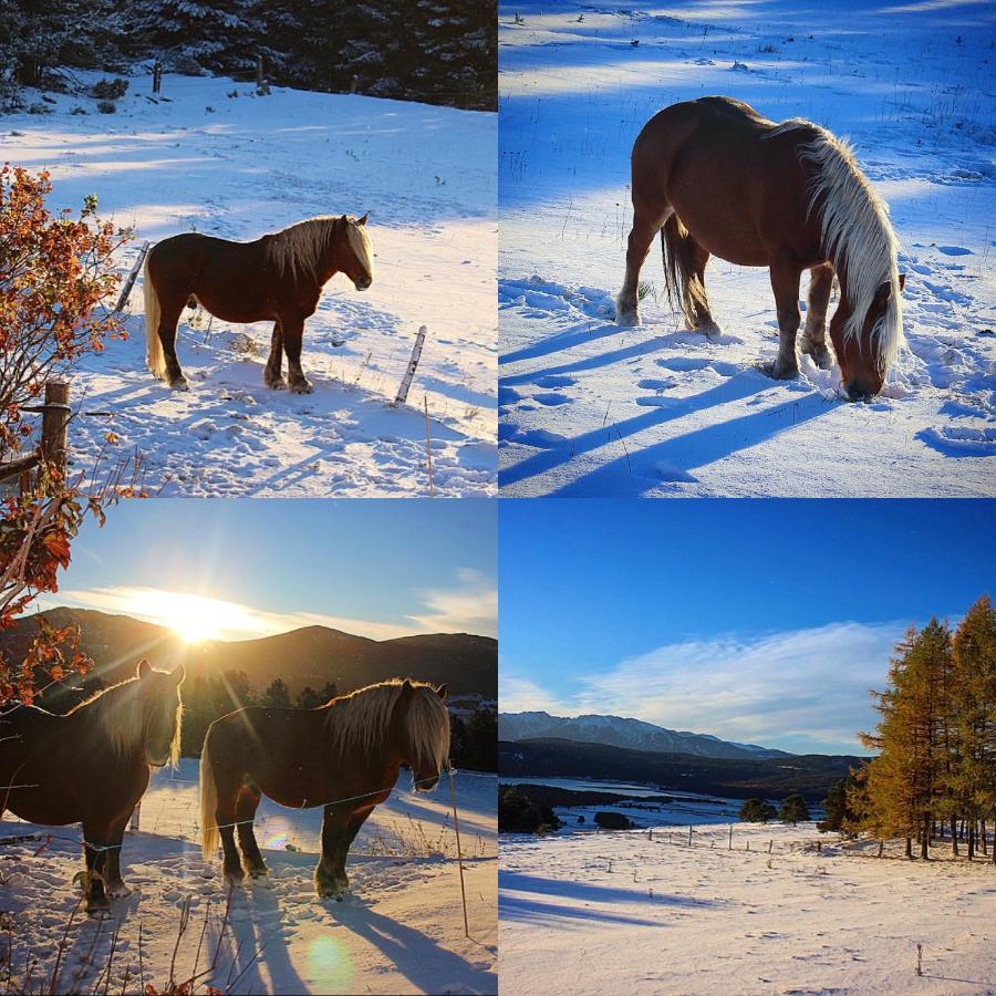Gite Ranch Le Serpolet Лез-Англь Экстерьер фото