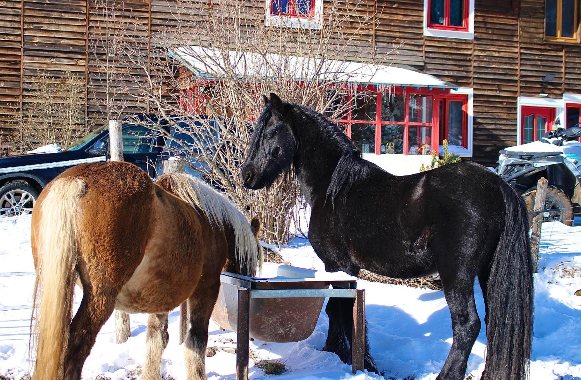 Gite Ranch Le Serpolet Лез-Англь Экстерьер фото