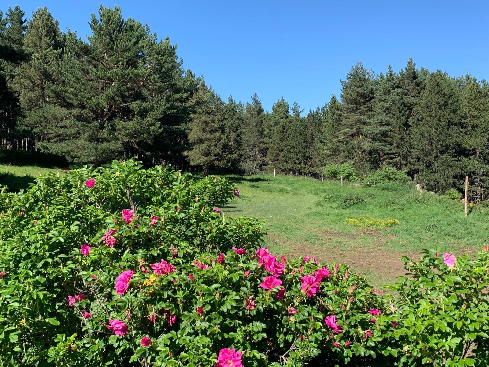 Gite Ranch Le Serpolet Лез-Англь Экстерьер фото