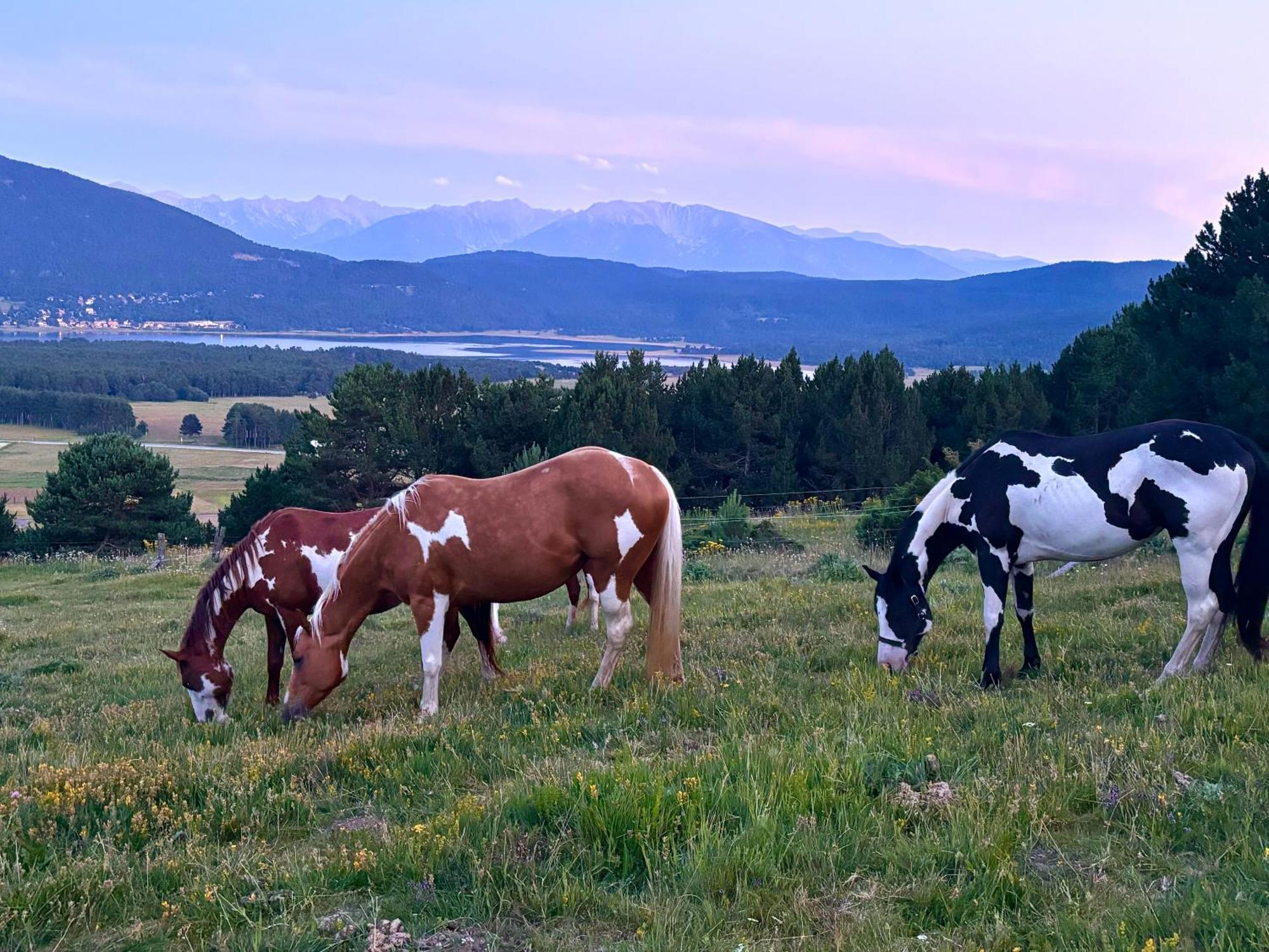 Gite Ranch Le Serpolet Лез-Англь Экстерьер фото